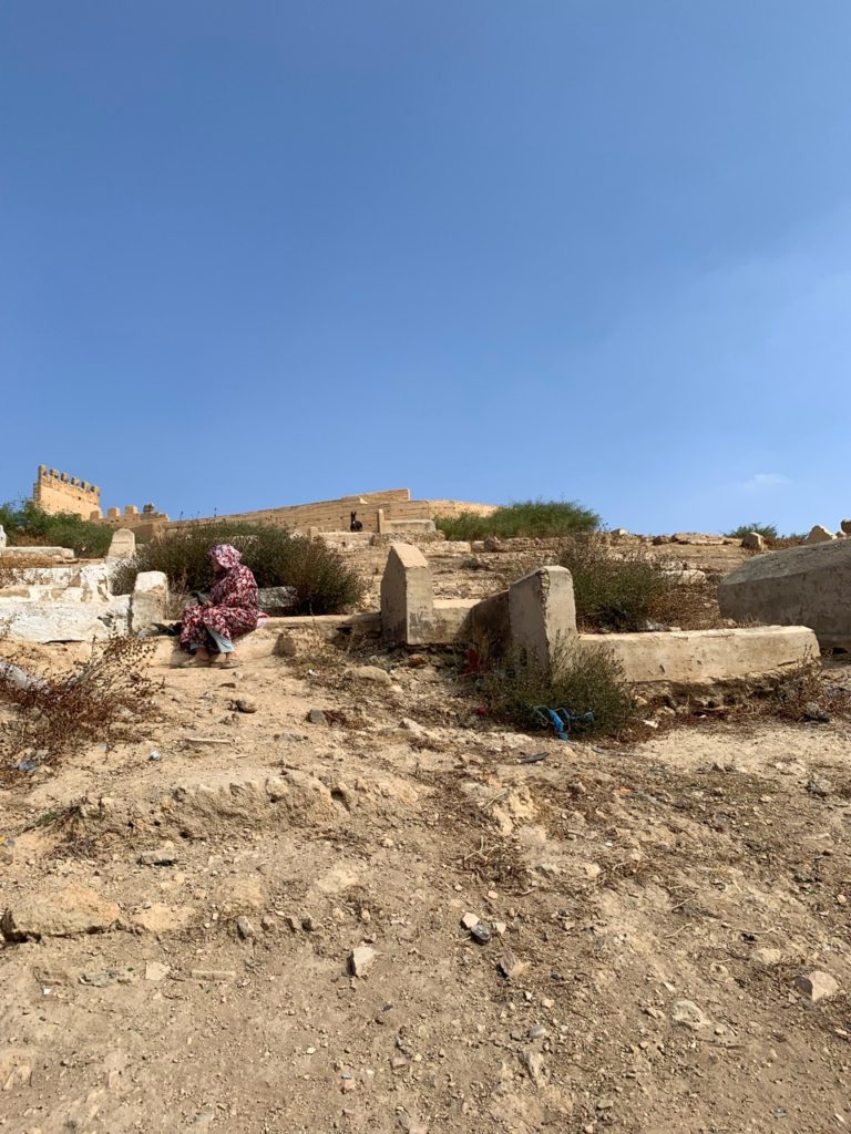 モロッコ フェズ 旧市街 案内 観光 景色 Marinid Tombs