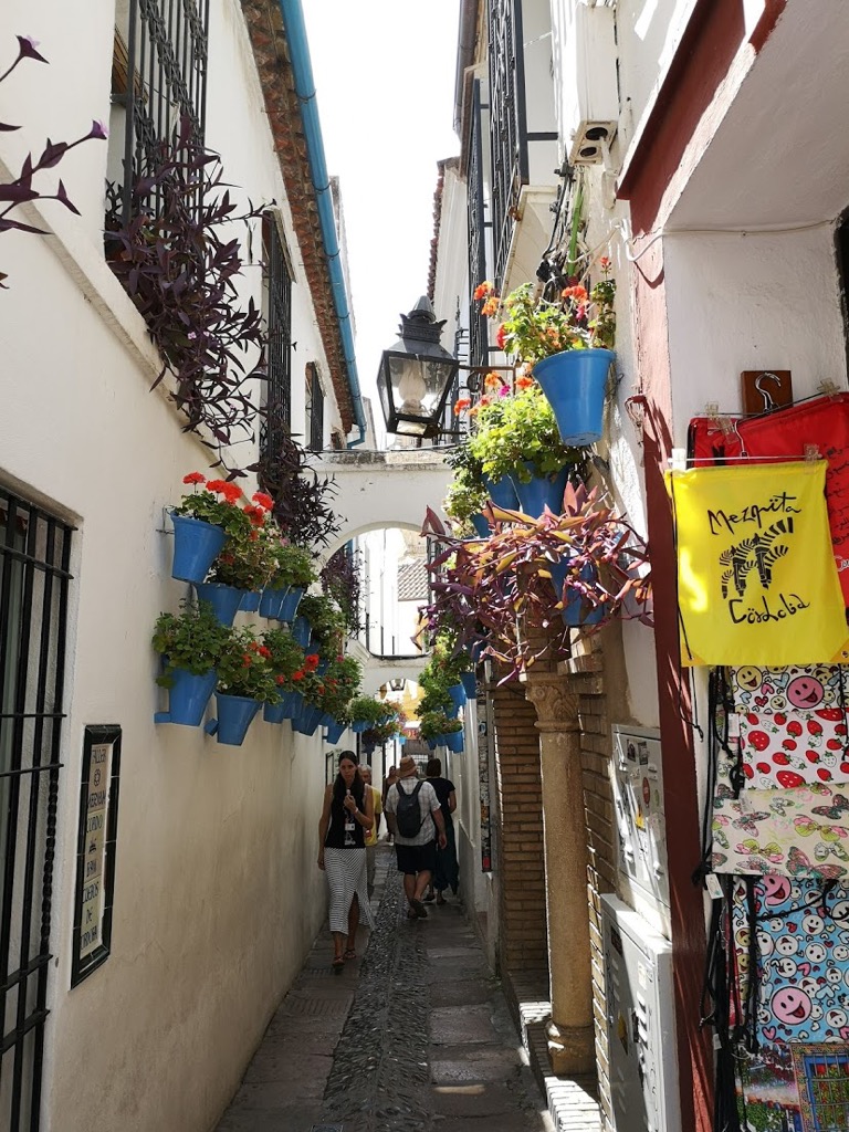 スペイン コルドバ 花の小道 ユダヤ人街 観光 モデルプラン