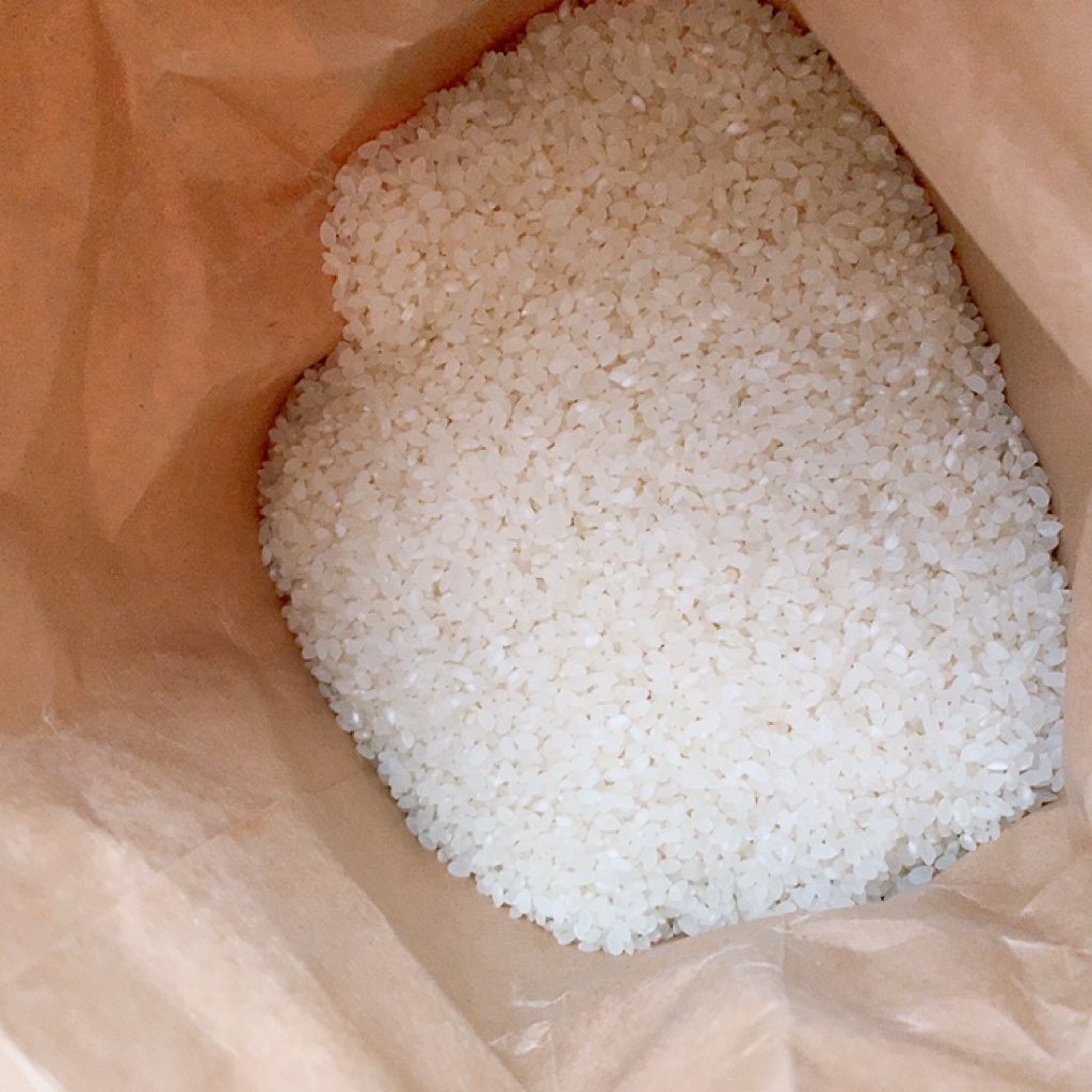 うたう ゆめぴりか 北海道 ご飯 お米 ご飯 おいしい おすすめ 北海道